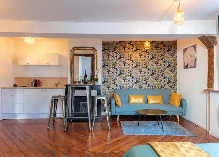 Le Lovely Cosy Jacuzzi Centre-ville Wifi Apartment